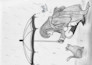 help you to capture your life in graphite